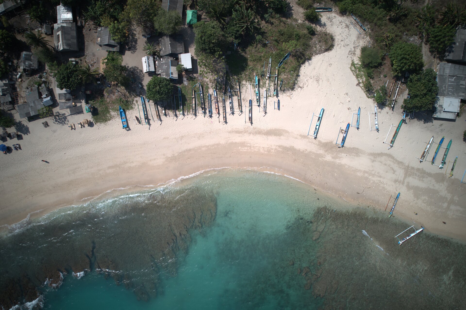 Tampah Bay from above