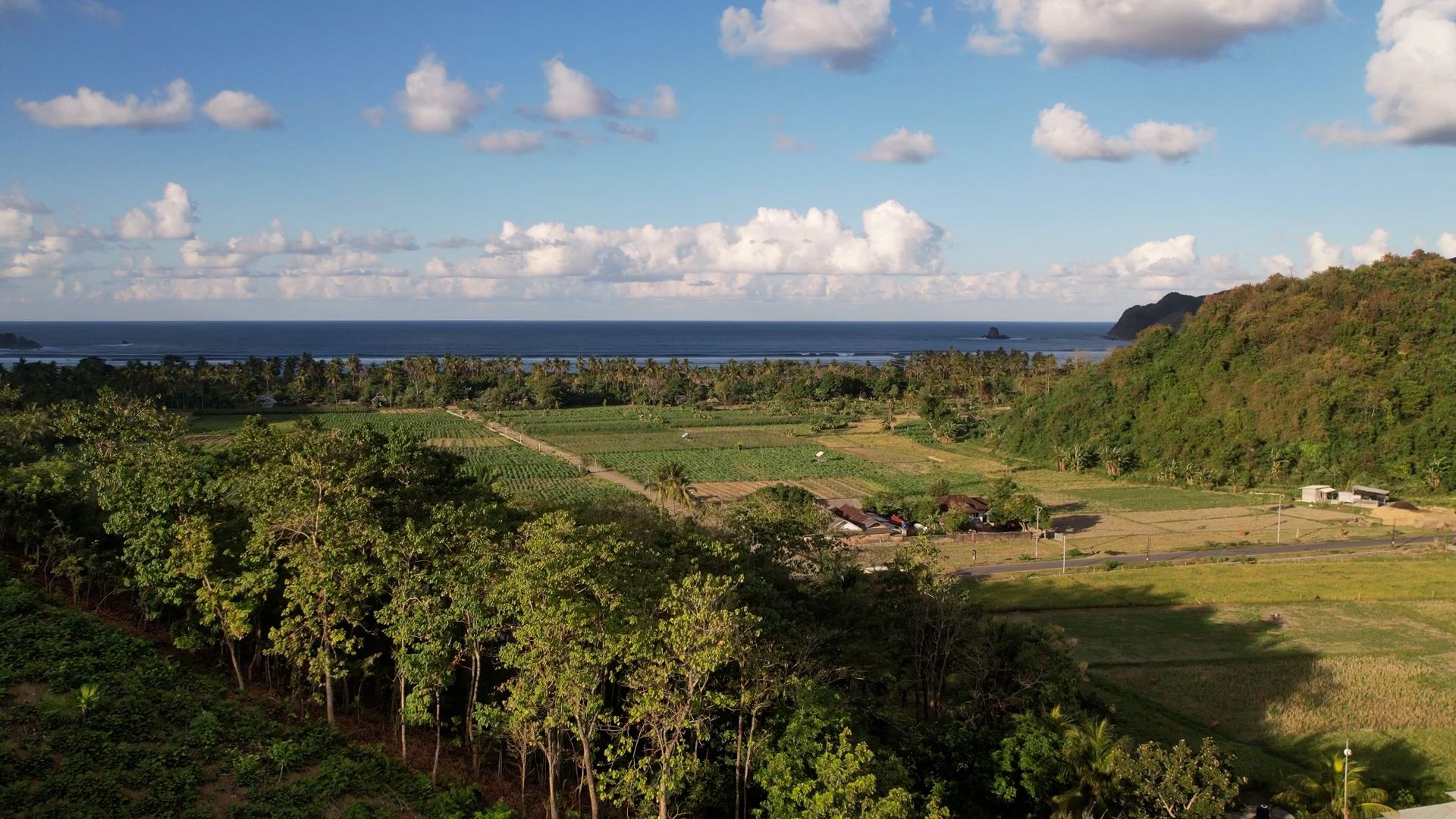 Hillside view across ricefields and coconut groves toward Tampah Bay